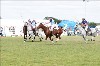 UKPA NC SAT_2620